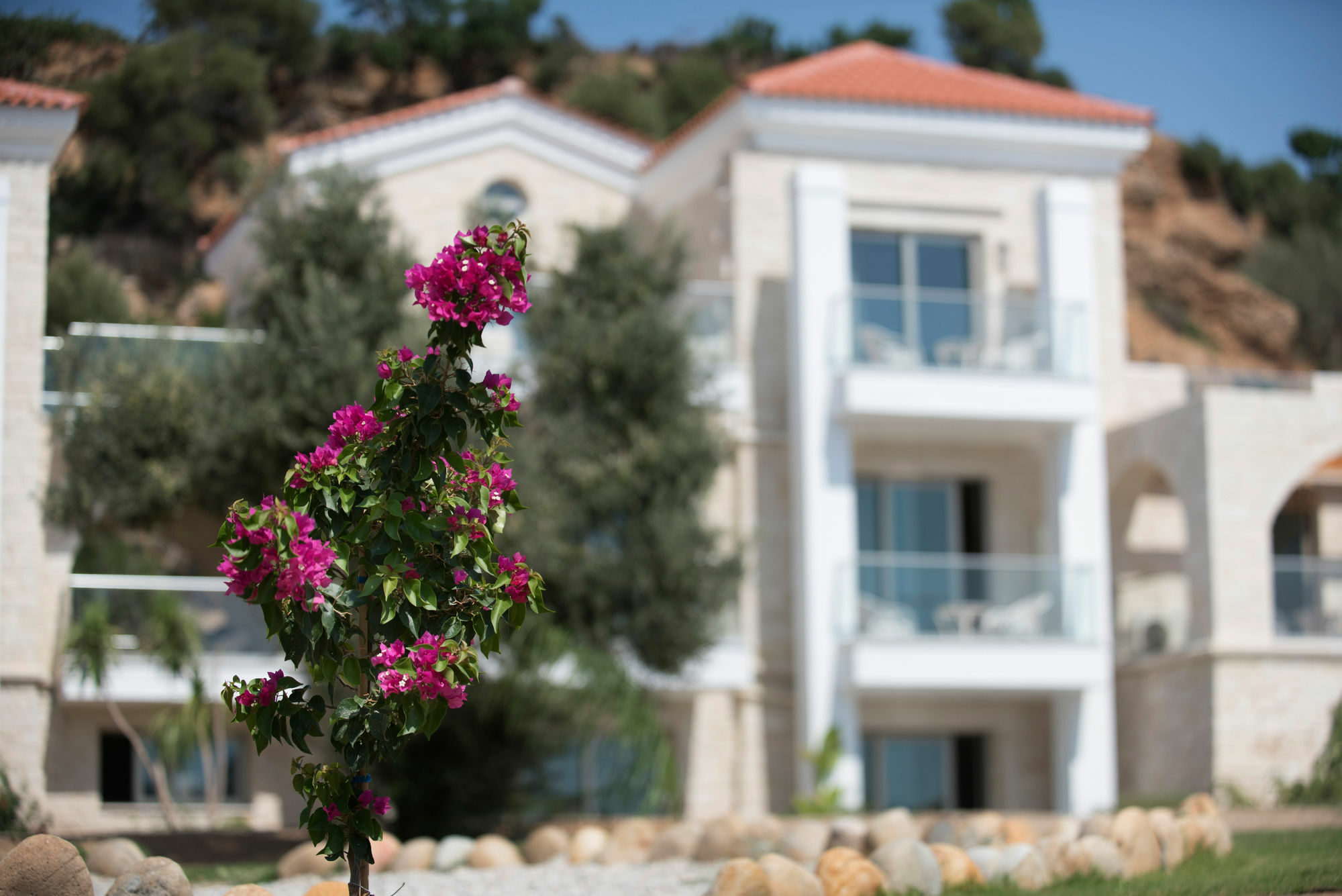 Libyan Mare Apartment Palaiochora Exterior photo
